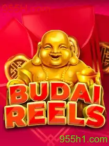 Desvendando o Universo de BudaiReels